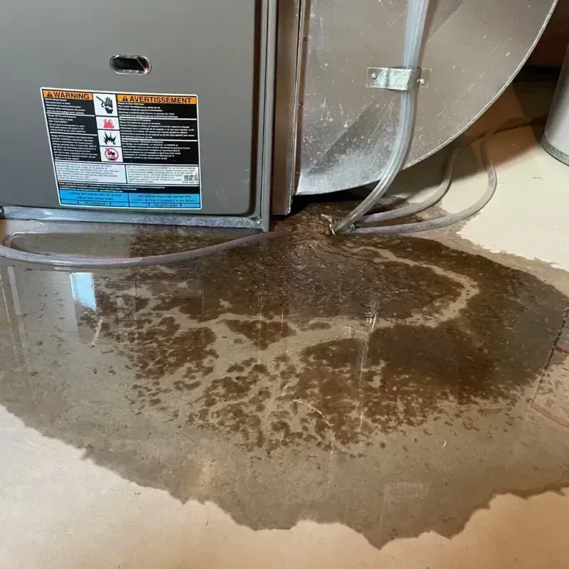 Appliance Leak Cleanup in Hudson, CO